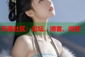 天涯社区：论坛、博客、问答