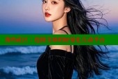 海角社区：连接全球的轻量化互动平台