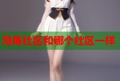 海角社区和哪个社区一样