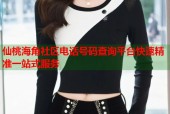 仙桃海角社区电话号码查询平台快速精准一站式服务