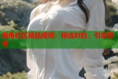 海角社区精品视频：精选对白，引发思考