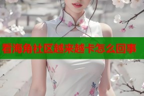看海角社区越来越卡怎么回事