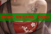 海角视频：畅享五大特色，尽在指尖