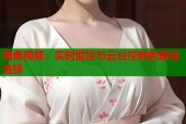 海角视频：实时监控与云台控制的最佳选择