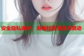 安全隐私保护，海角社区登录无痕迹
