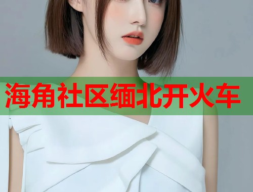 海角社区缅北开火车  第1张