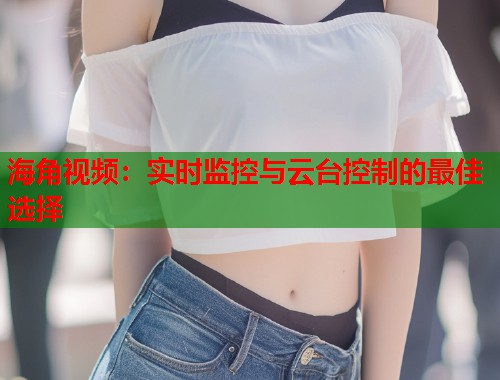 海角视频：实时监控与云台控制的最佳选择  第2张