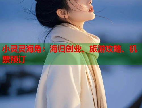 小灵灵海角：海归创业、旅游攻略、机票预订  第1张
