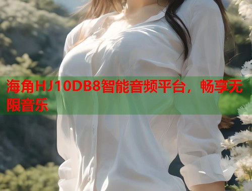 海角HJ10DB8智能音频平台，畅享无限音乐  第1张
