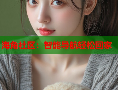 海角社区：智能导航轻松回家  第1张