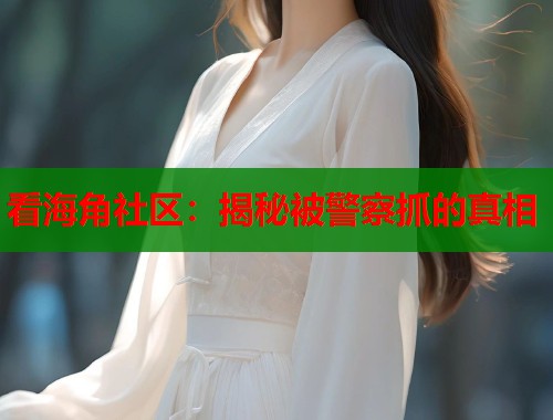 看海角社区：揭秘被警察抓的真相  第1张