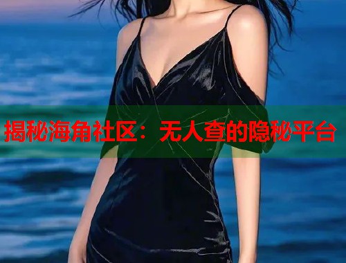 揭秘海角社区：无人查的隐秘平台  第1张