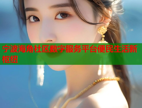 宁波海角社区数字服务平台便民生活新枢纽  第1张