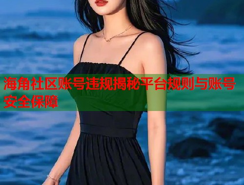 海角社区账号违规揭秘平台规则与账号安全保障  第2张