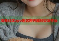 海角社区apo匿名聊天配对交友平台