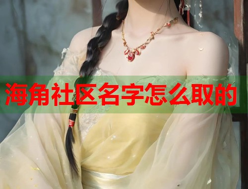 海角社区名字怎么取的  第1张