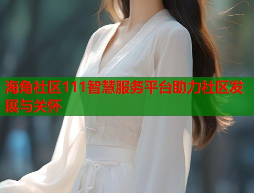 海角社区111智慧服务平台助力社区发展与关怀  第1张